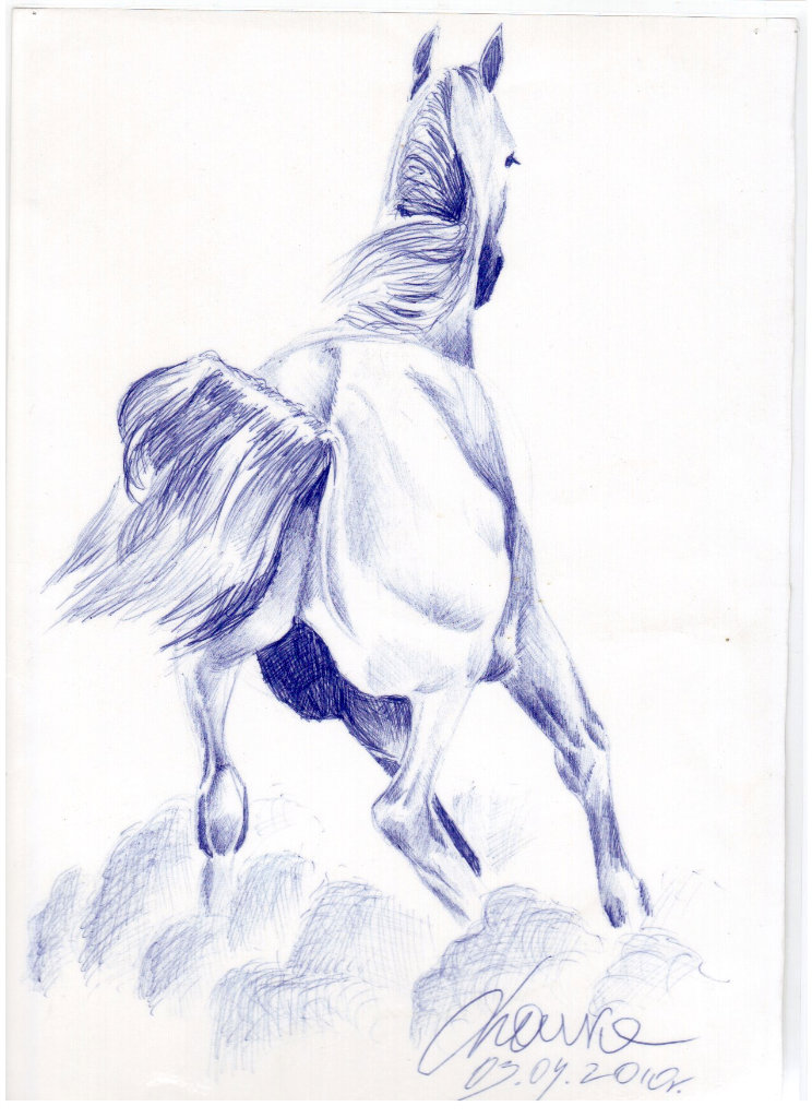 03.04.2010