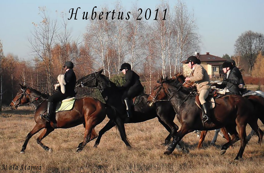 Hubertus .
