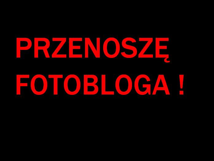 PRZENOSZ FOTOBLOGA