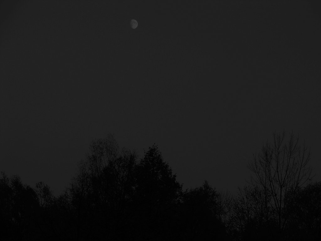 Come, swallow me darkness...