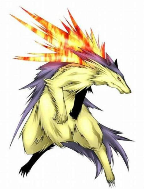 kbowisko