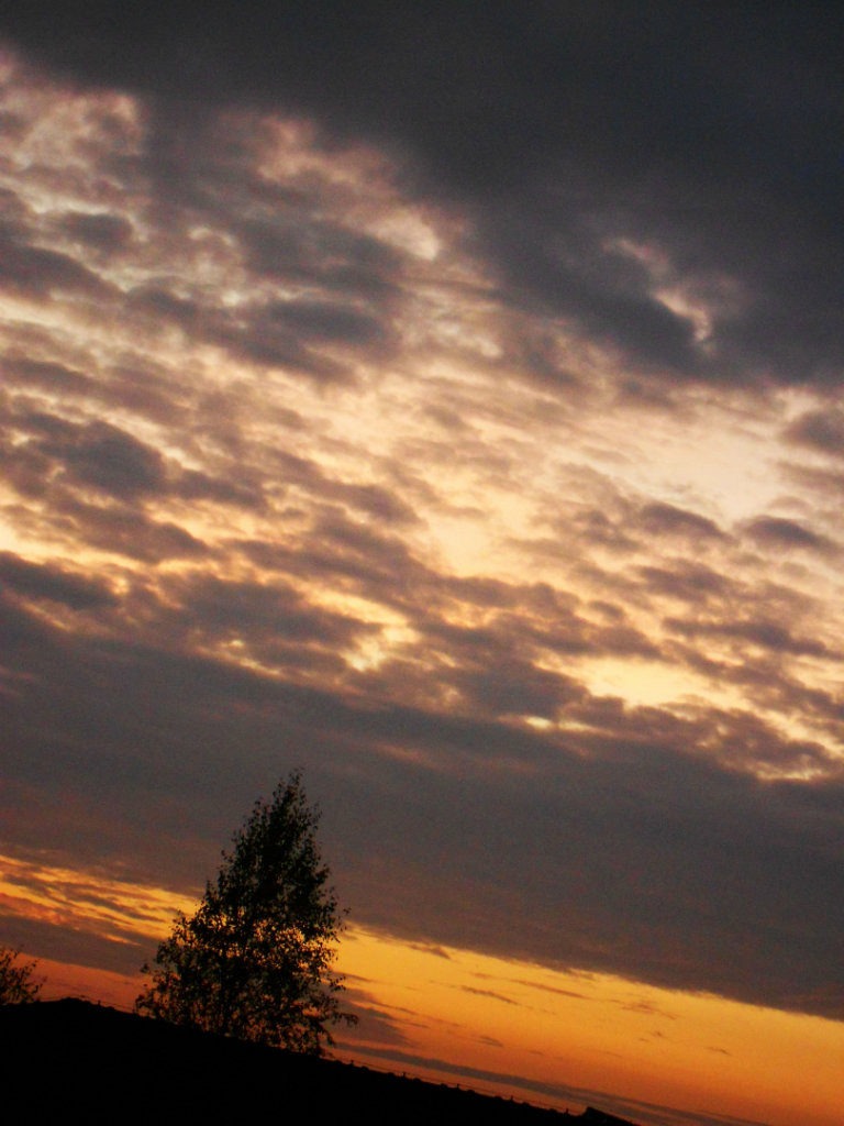 No name.