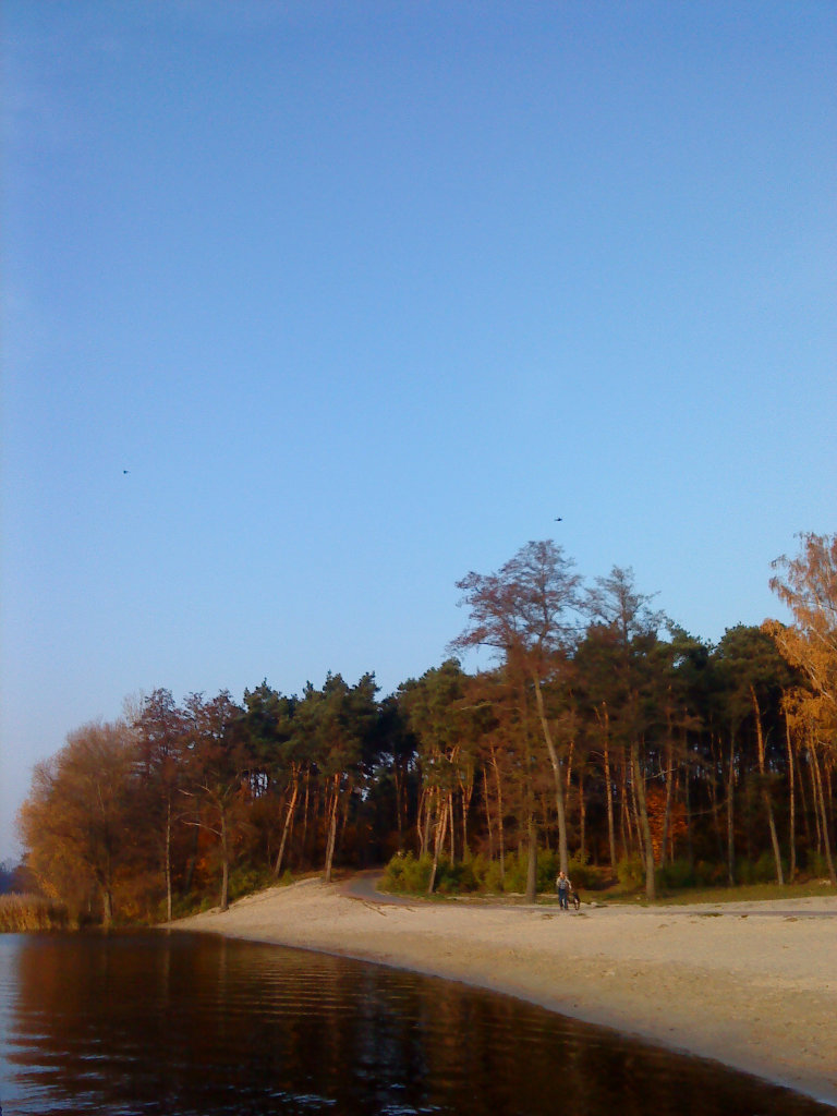 nawet