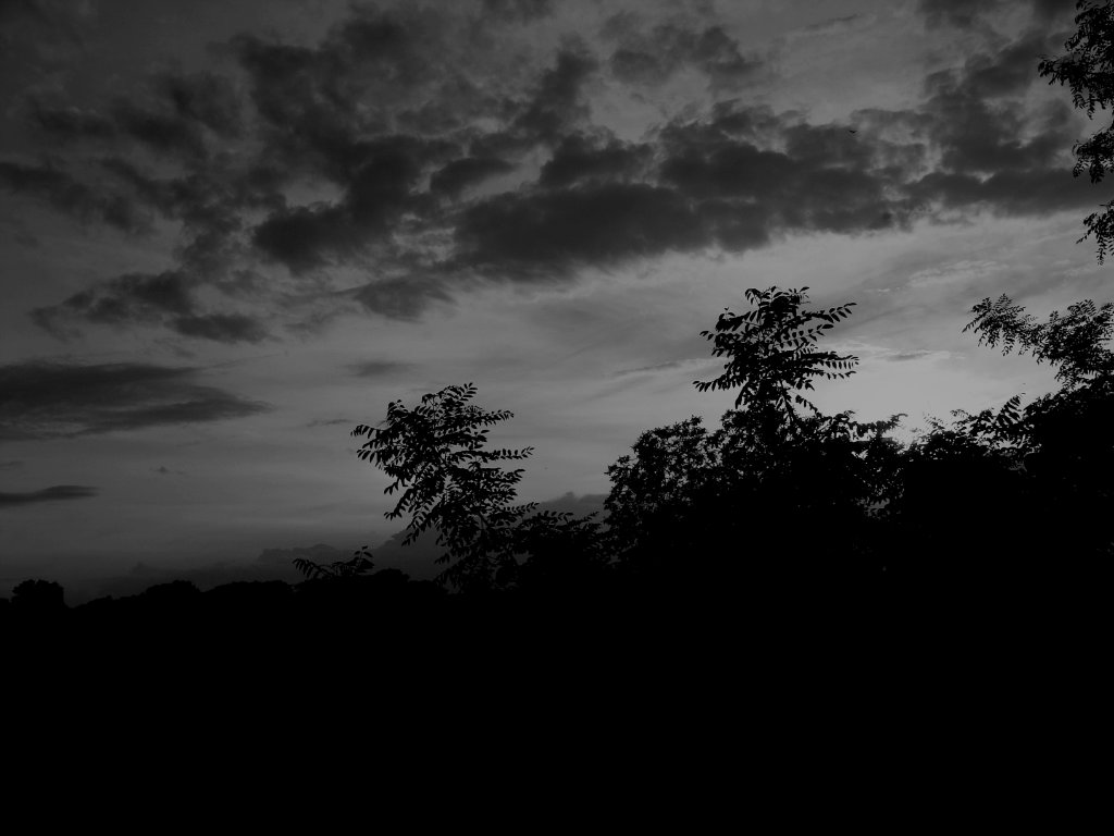  Pain... rise every night.