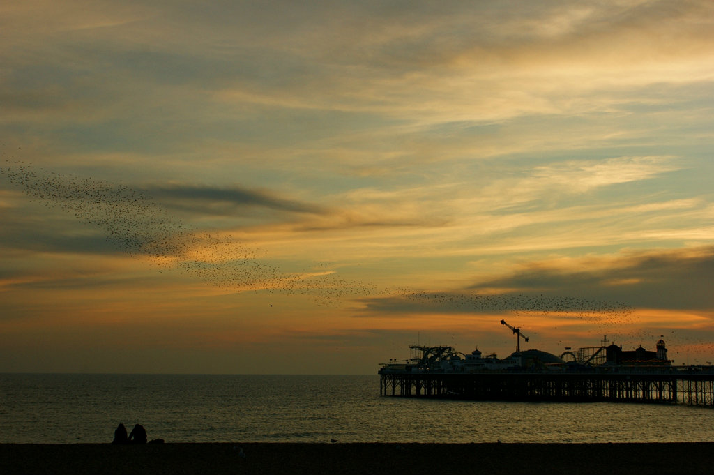 Brighton