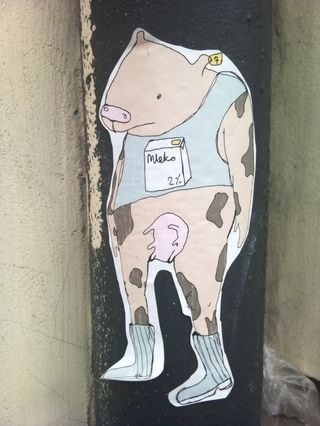 Brak tytuu