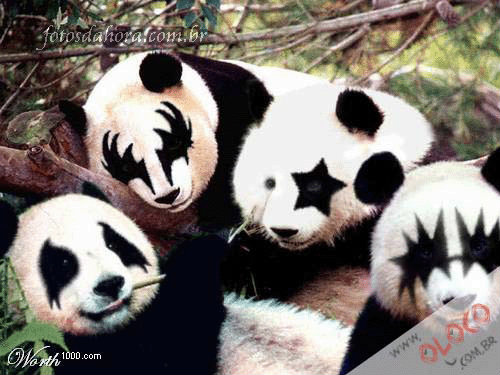 Hahahahahaha.