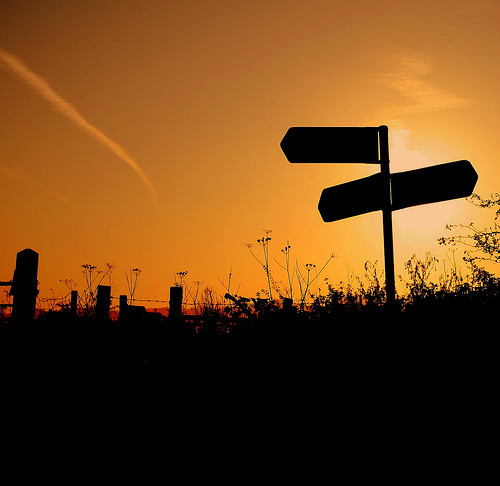 show me the way .