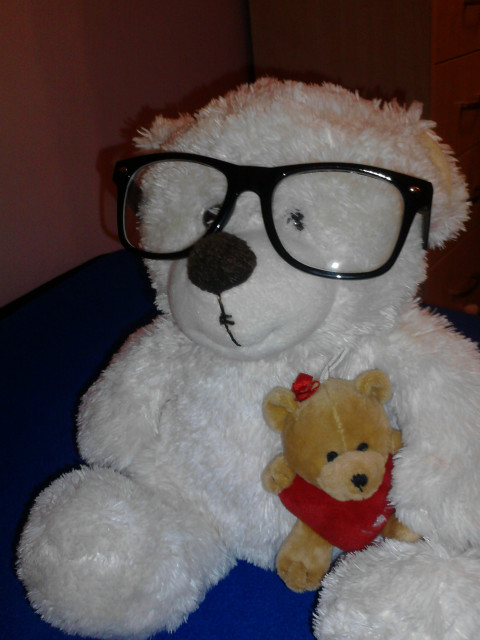 Misiek w nerdach x3