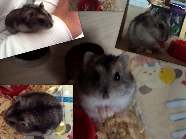 Fredy :)