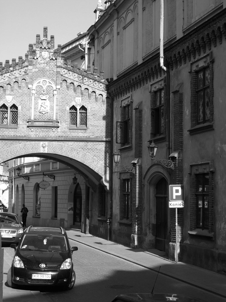 Pocztki Muzeum Czartoryskich