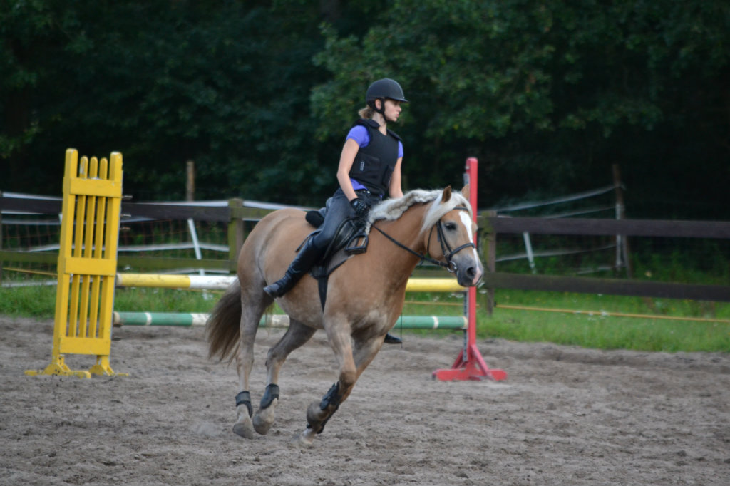 Galop - edit.