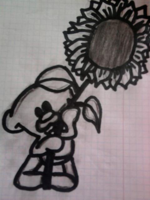 misio