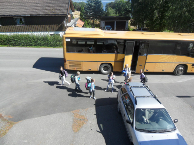 Buss ; D