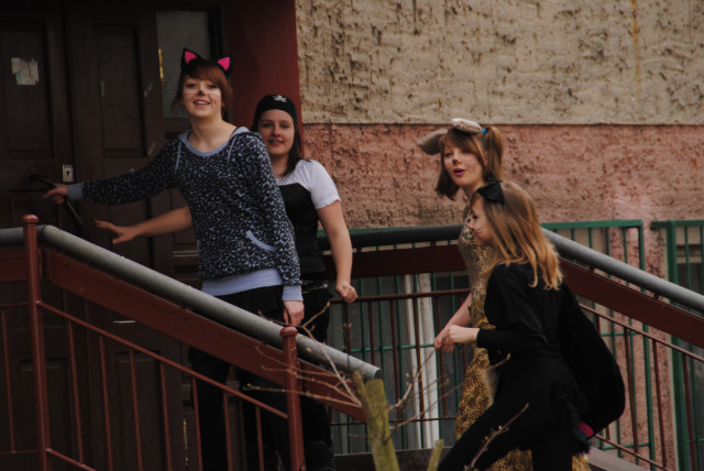 springday'10