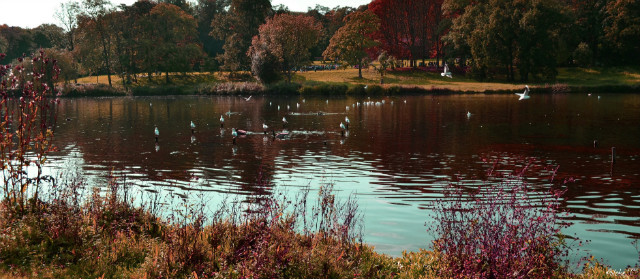 Park