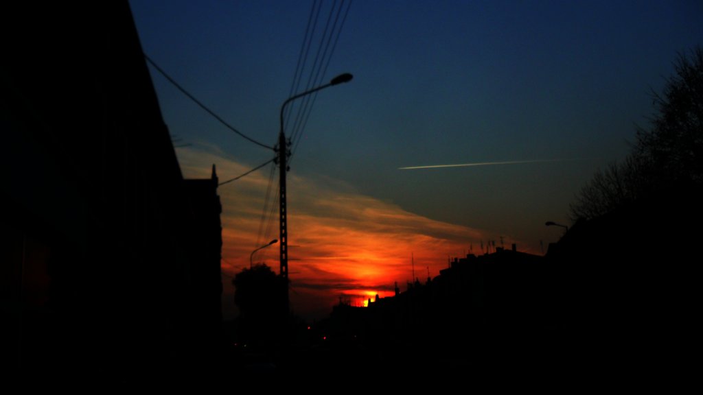 widok
