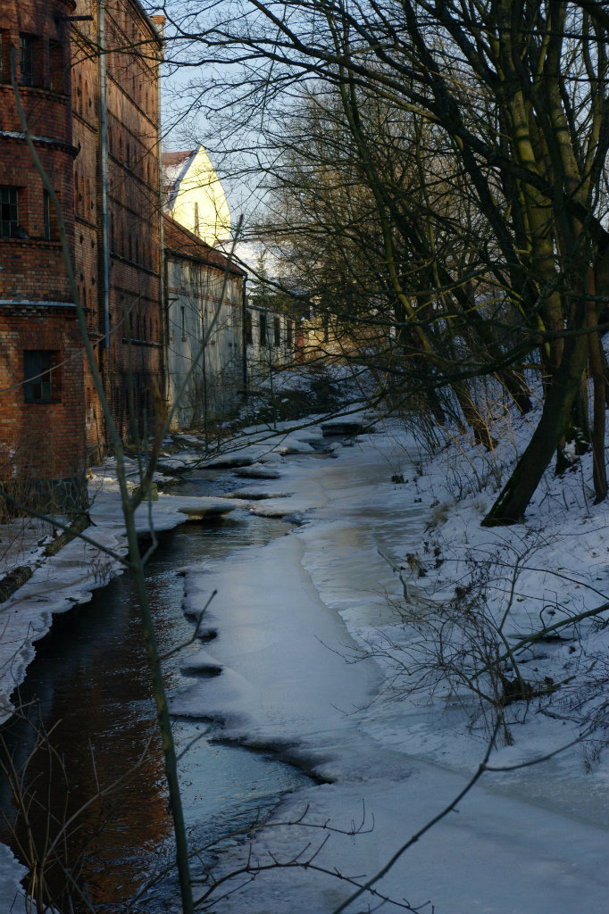 26. Guber