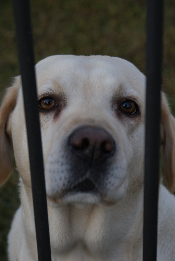 Molly