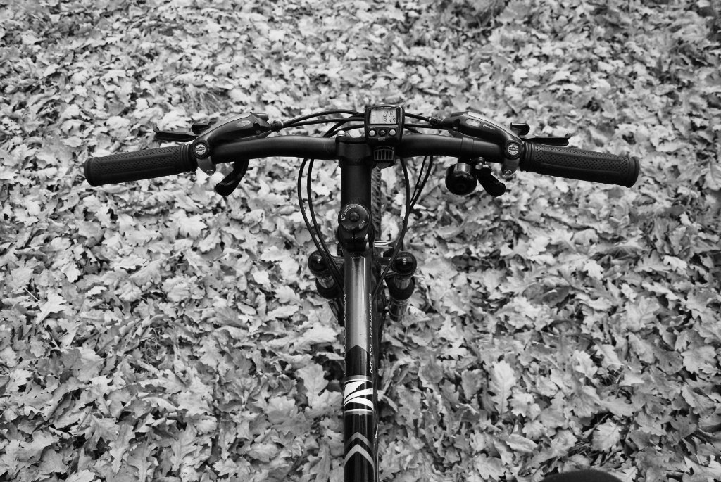 Rower Jesieni (black & whit