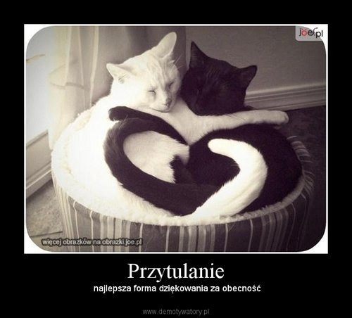 Przytulanie 