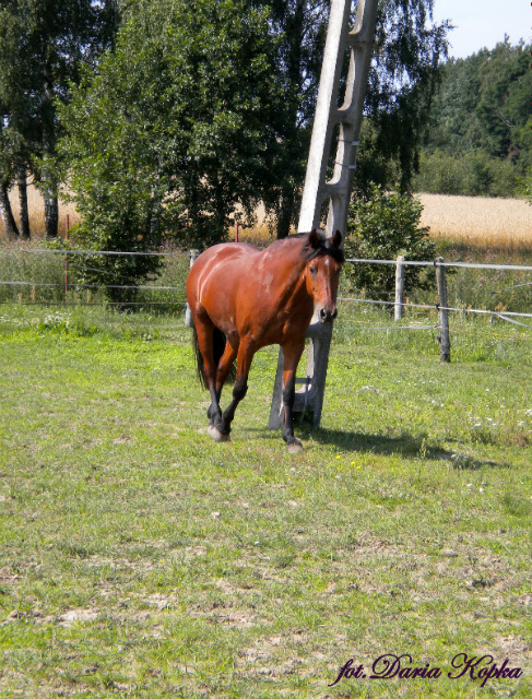 ^^Alicja^^