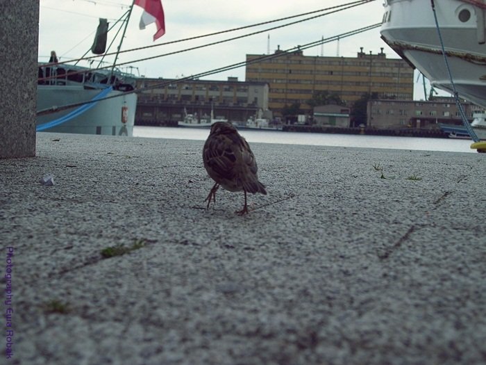 wrbelek ;D