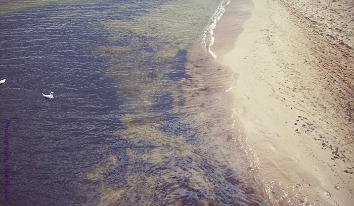 Sopot 2011