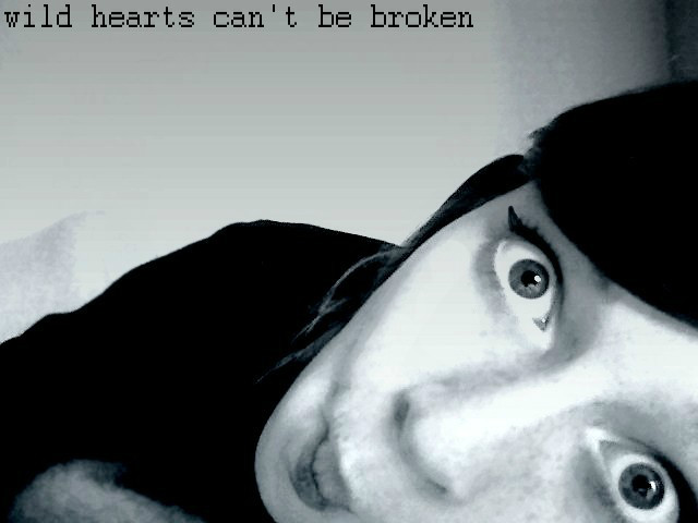 wild hearts can't be broken