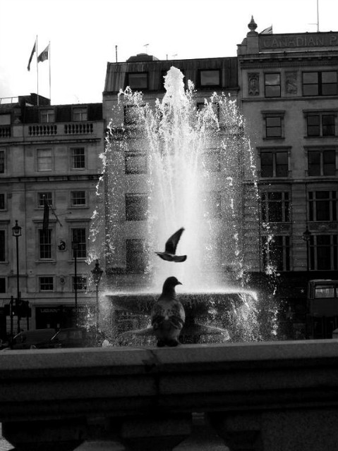 Trafalgar Square