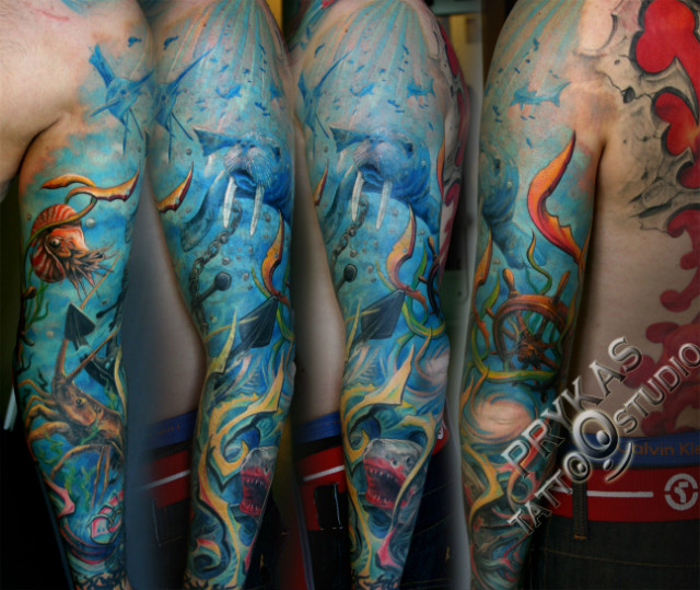 morze lew morski nautilus