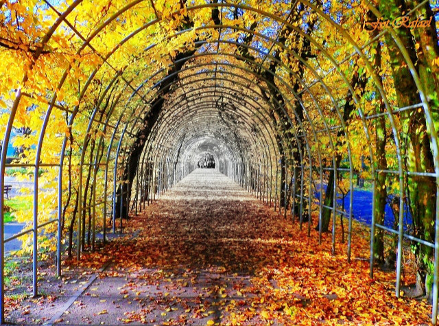 Tunel