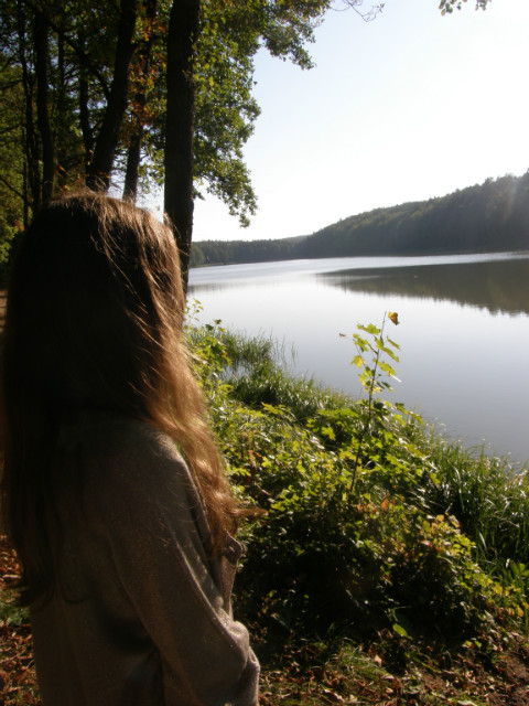 I'll find someone like you