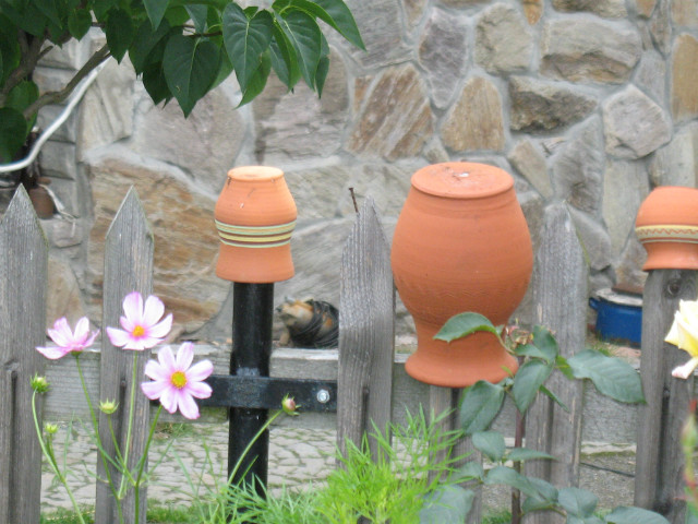 Wehiku czasu - Dem
