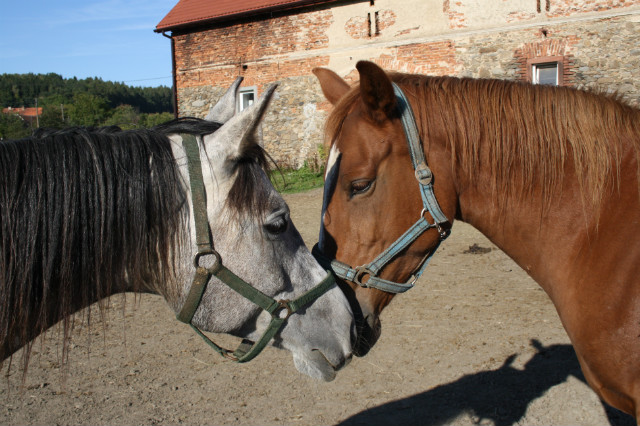 Atos &  Agni
