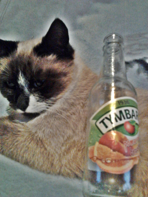 ToFikk .