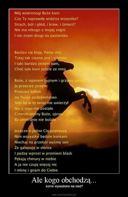 kur..aa ...paka mi sie chce!