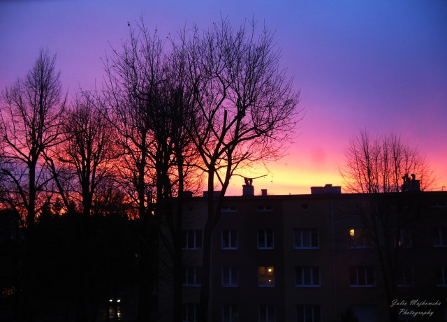 549.wschd