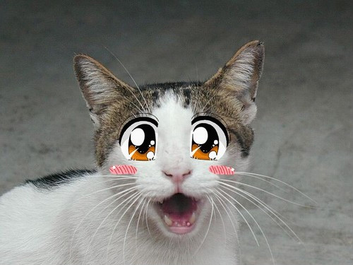 Waaam !