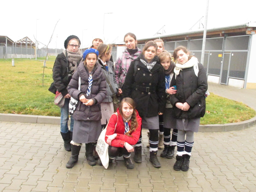 Zbirka 10.12.11- Schronisko