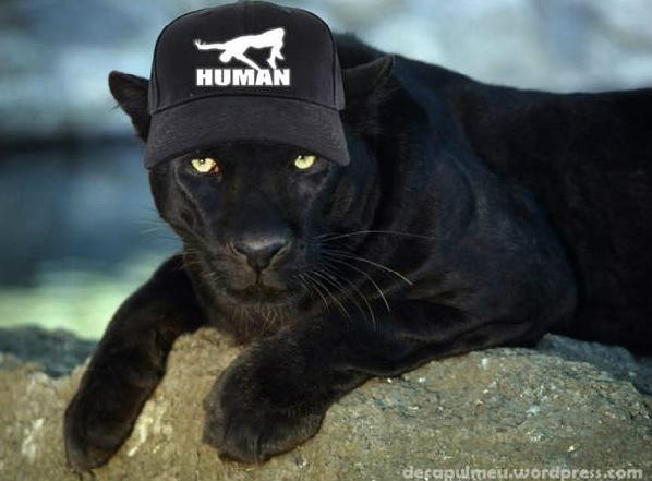 Puma xD
