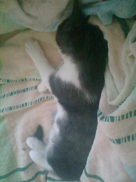 4.Nie mam co robi wic