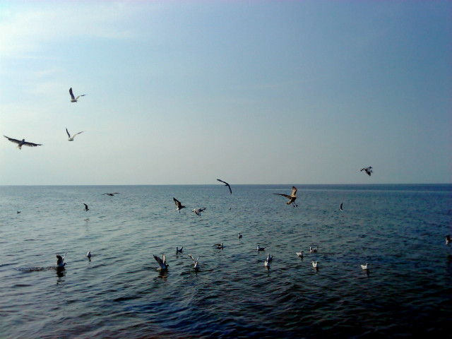 Vastness