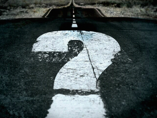 ? z Neta