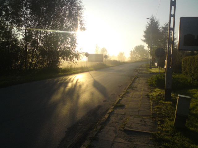 Wherever I May Roam