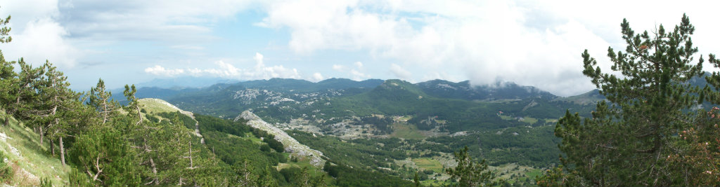 CZARNOGRA