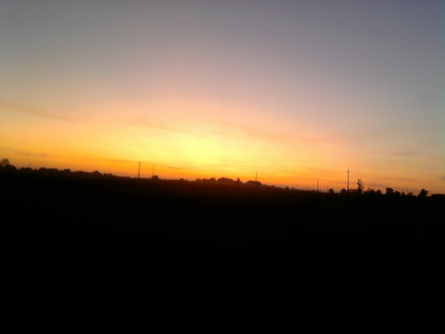 Beautiful things... 