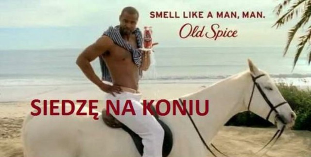 hit reklamowy :)