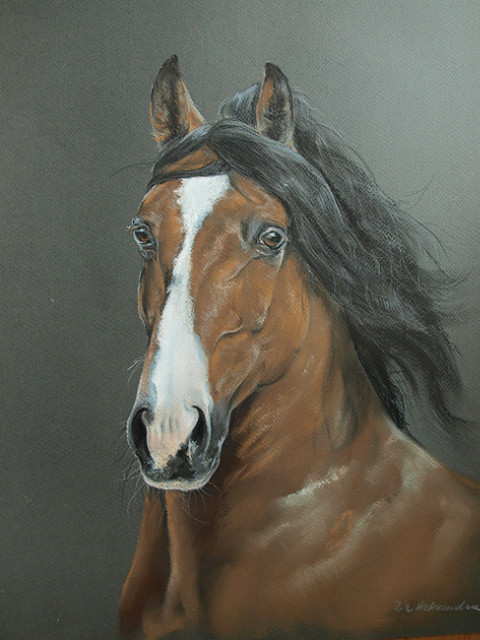 Lusitano
