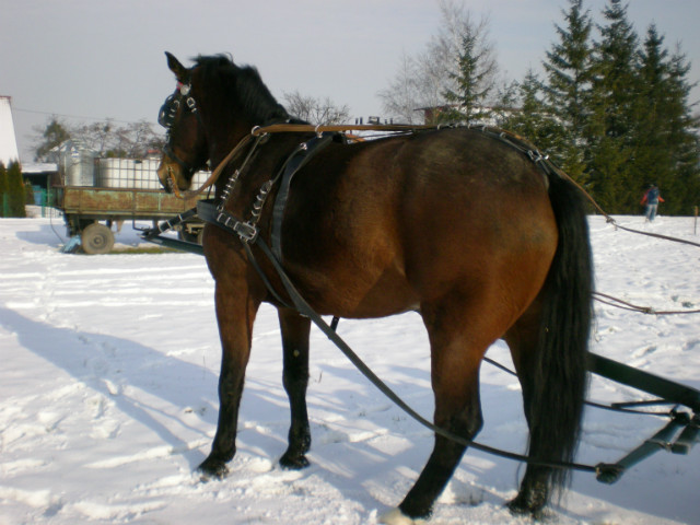 NIEG :*******   *_*